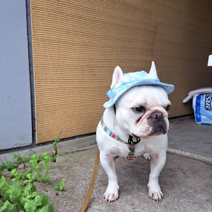 579647dd 4bff 4436 bcb2 d88a3d4b5528 1691292287528