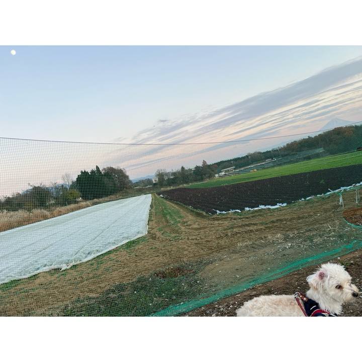 57964f8d a160 43fc 9d84 36b3fffd9d82 1764663665323