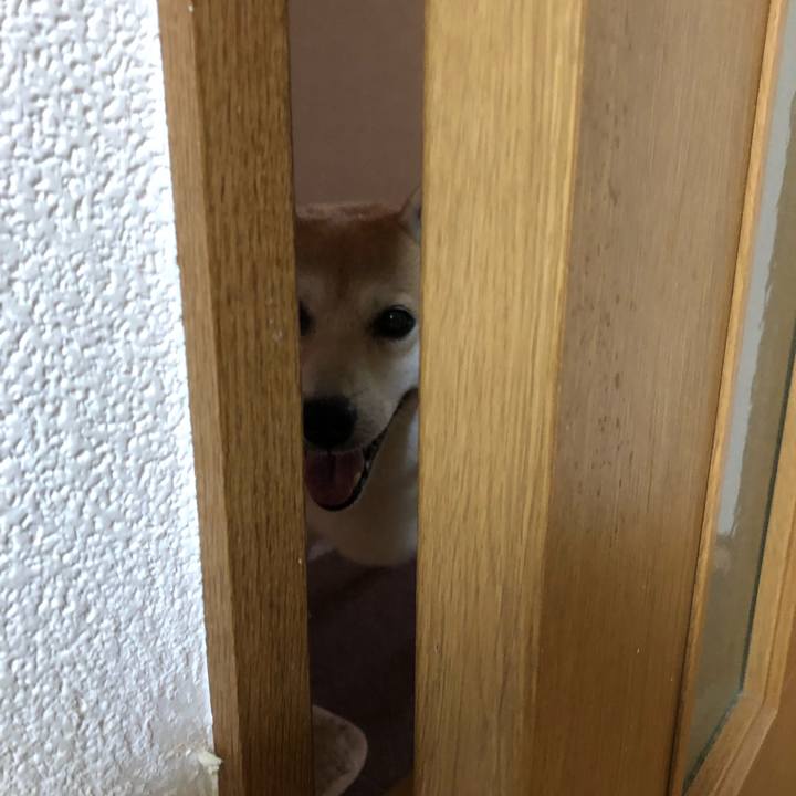 57965f89 db00 468e bd01 6441e5a985d3 1566219815277