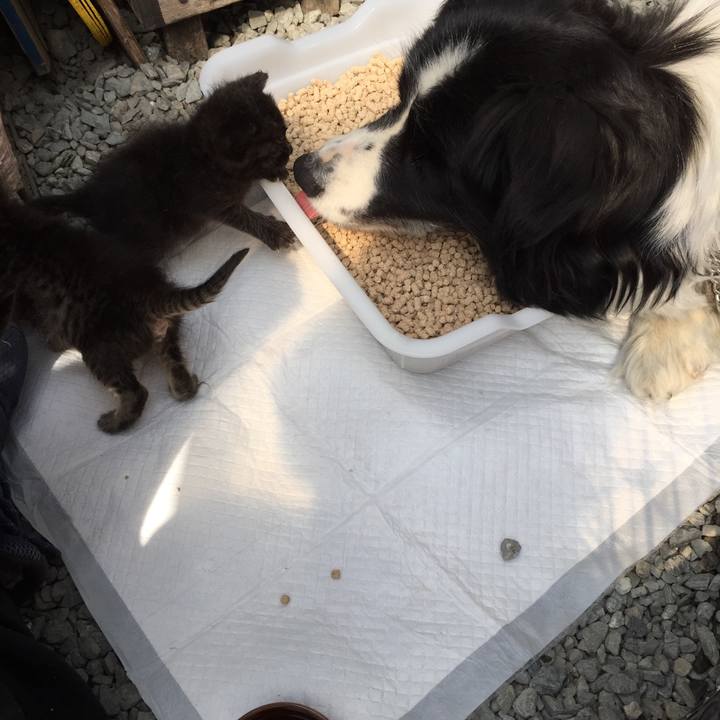 57969dc4 9c38 4ec3 8cb8 a861c5b9b911 1554514131576