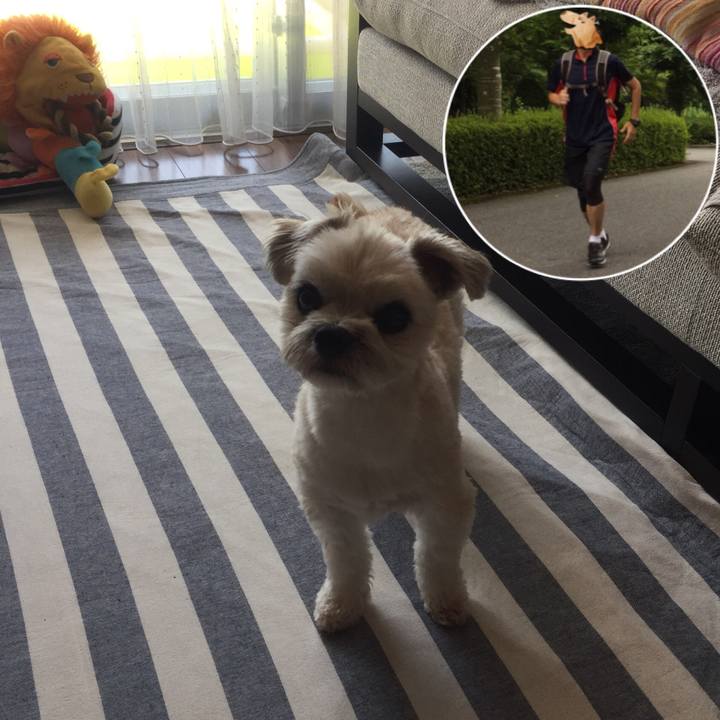 5796c259 d1c9 43bd 8ef1 d844f27c618b 1535254505602