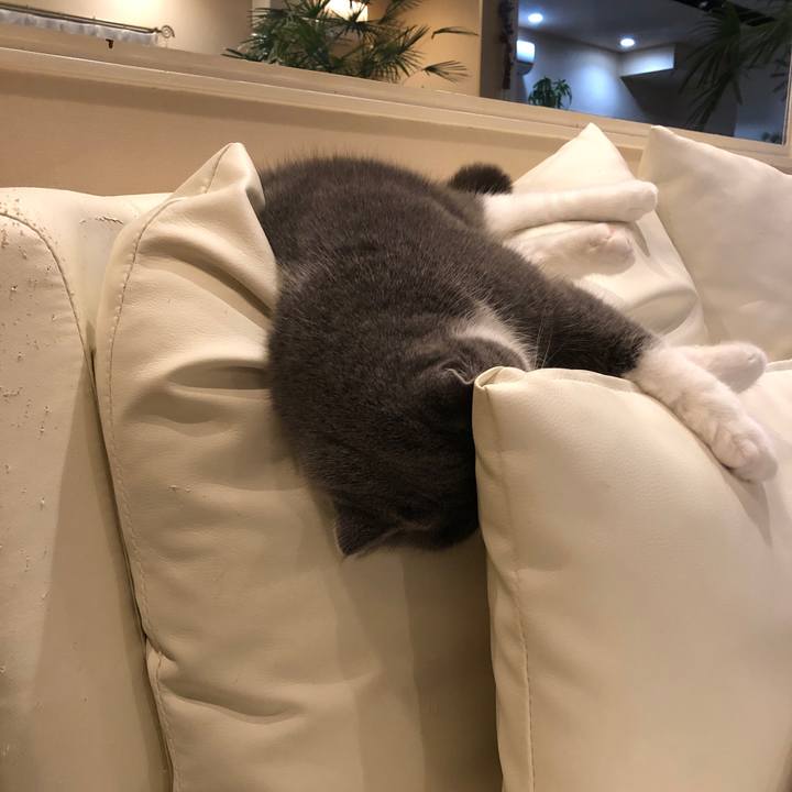 5796dda5 b50a 4ef3 bf2e 3a9f5d039606 1546609920634