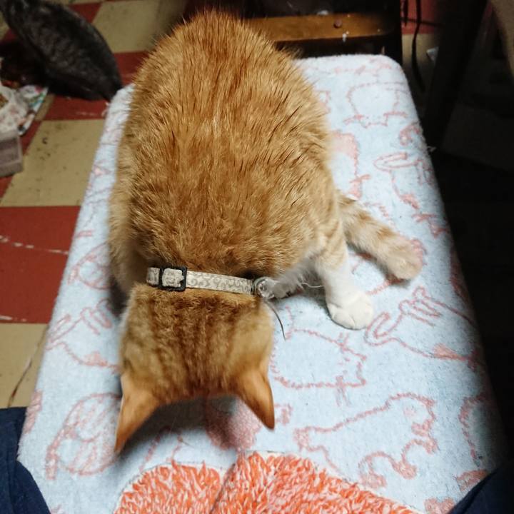 5796e6b4 509d 4c97 ad57 2d5ca0f74742 1593631230619