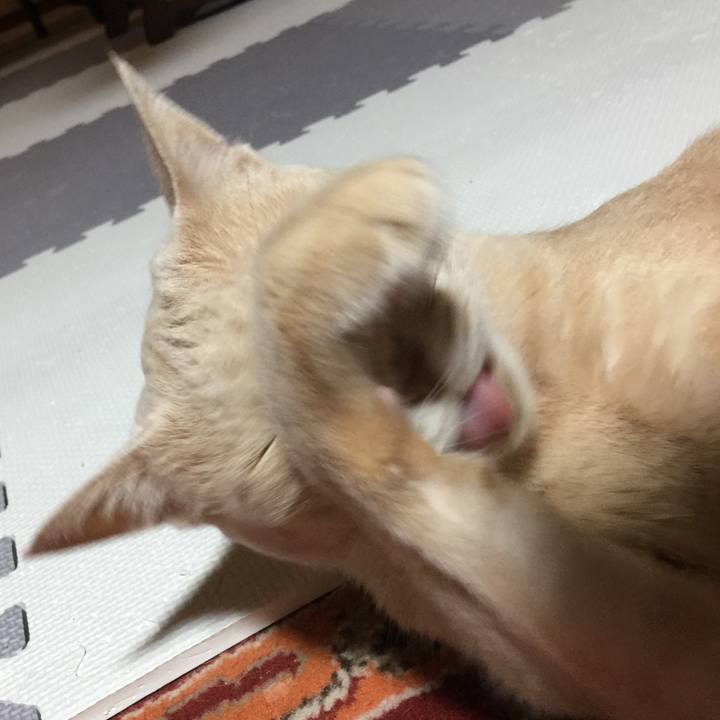 5796f58c d965 4ecc a792 9c5e9be02fc7 1700627166237