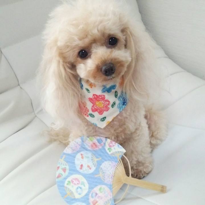 579713c9 34b8 49a4 994b 790b9523f5f4 1532602600265