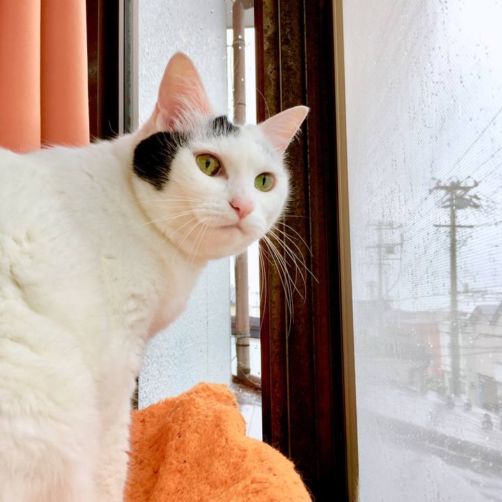 57972261 48cb 426d 90f1 2ccfc4bde492 1563611263029