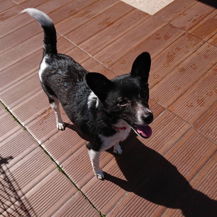 57972e64 60c0 4bd2 b610 401e0a3a994a 1620297545749