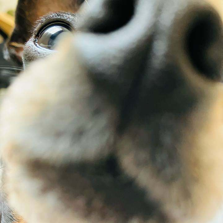 5797482c b027 4f81 b0b5 e27021902758 1758374614449