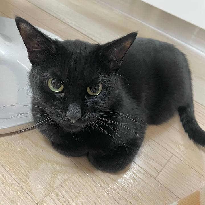 57974d13 bbe8 4bef a256 8ccdc7bbbba2 1644584291812