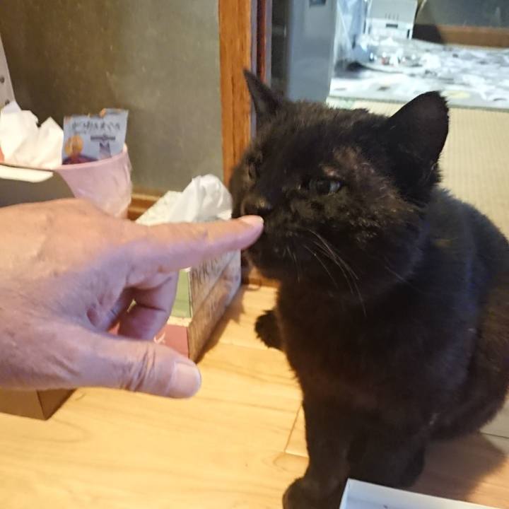 5797539d 0d00 4f70 ab5d bab54cf86ac4 1620986096471