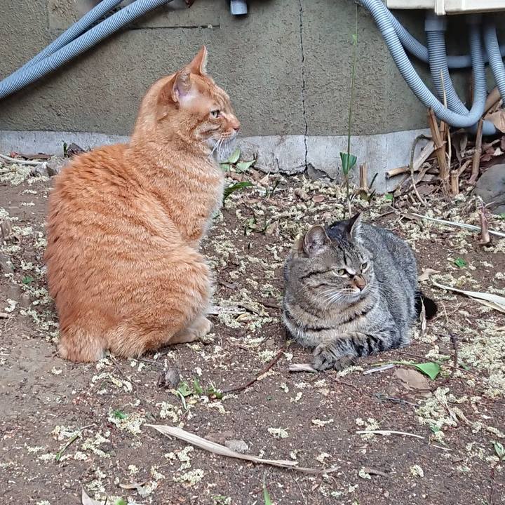 57975a74 ea04 48e0 ba89 b7d96a922b9d 1682331554154