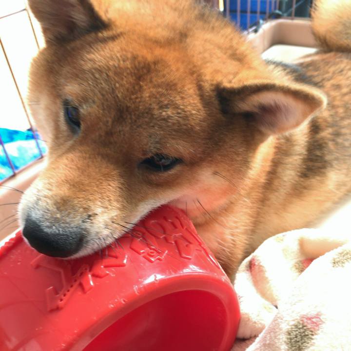 579768a2 692a 4e5b b07e 34d8e5403f4a 1550238477934