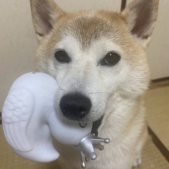 57979048 ce79 41db b446 578ca2c1147e 1734036165717