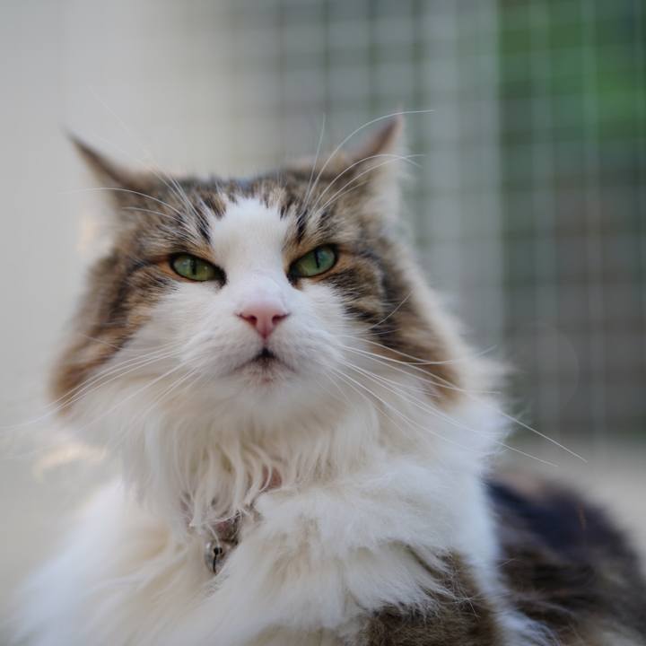 5797b239 bebc 4681 b734 081e1d1e6db0 1684228271285