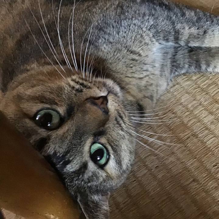 5797e208 47af 4812 a766 f170926639a6 1756364123080