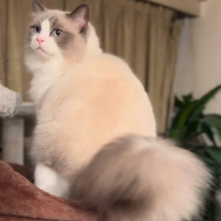 5797eb07 373f 4295 b0b7 1013101d2c24 1660211619802