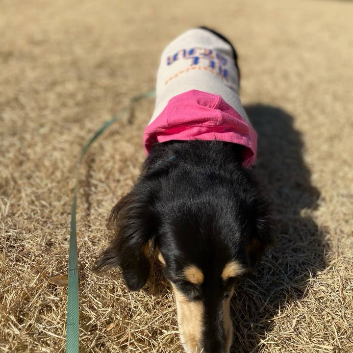 5797f4be f342 469d b8b6 064426aed6b1 1705364673376