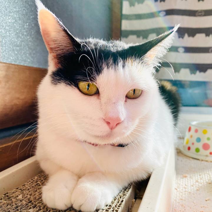 579819b7 0ce2 4219 b818 e7332338b0a5 1685398325481