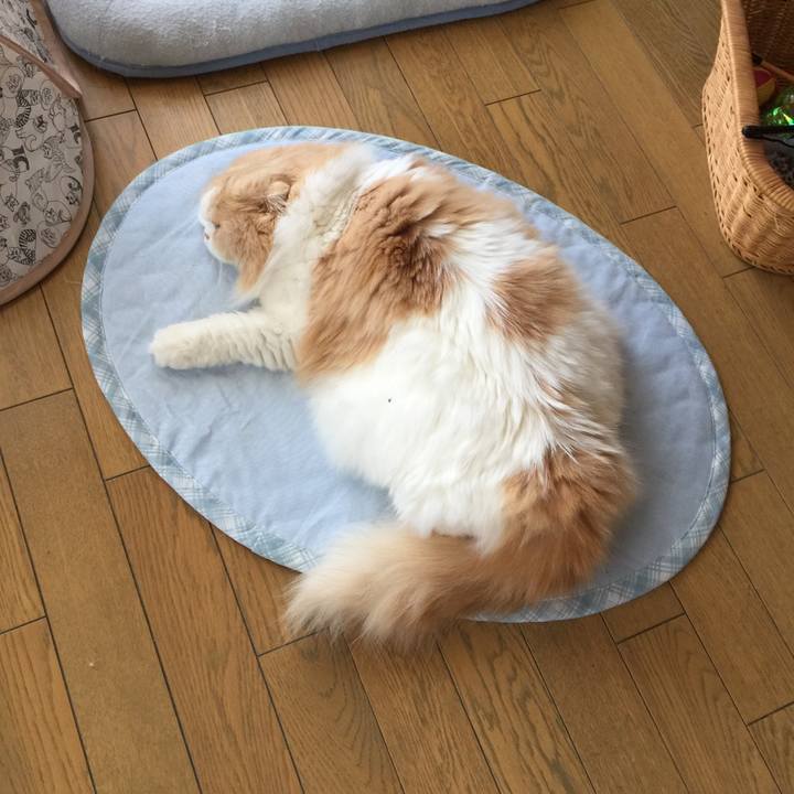 57981b77 93ab 4d5c 9b54 02e2eb357e2e 1531271745546