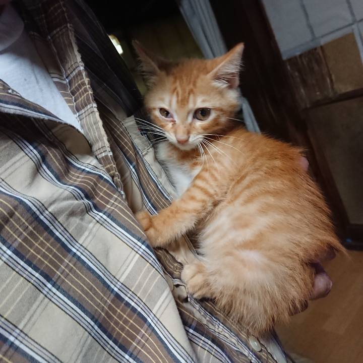 57982c7c ad87 40f3 9f61 767e878ef75a 1629202023387