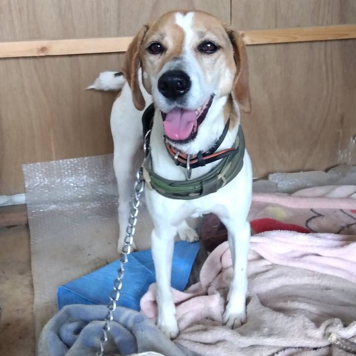 57984d93 2799 4567 ba2d 235aeeda12e7 1685620964400