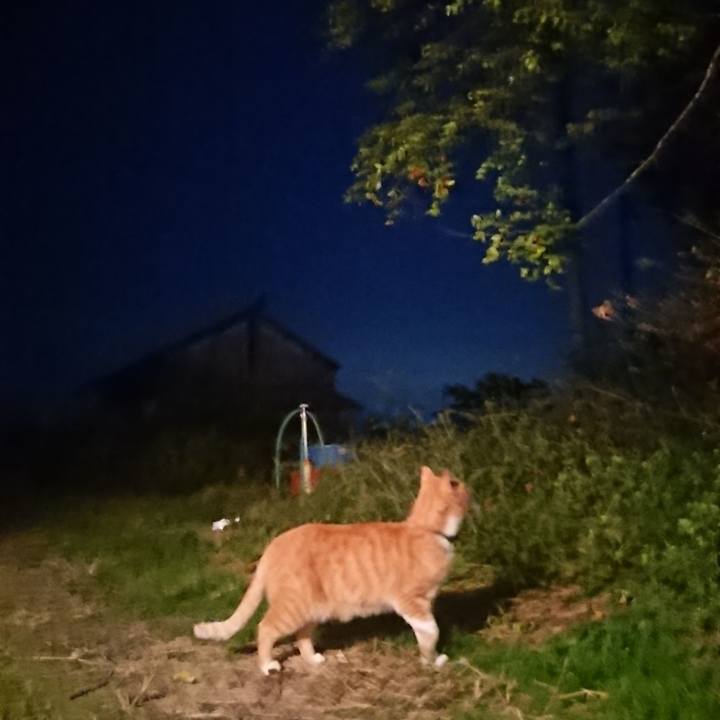 57984e18 58aa 4e11 936f ebfe0220f494 1603097858474