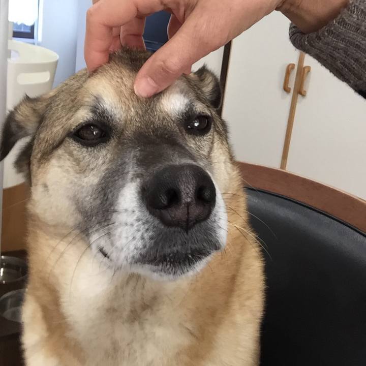 57984f80 a767 42d0 8026 4bec06b4b606 1519128988594