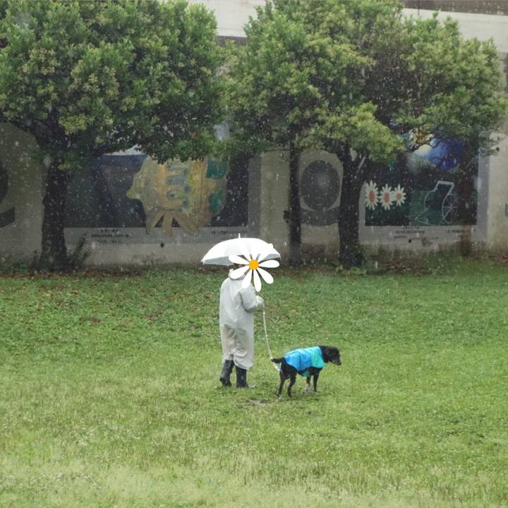 579858a4 d985 4ad9 a191 9165fadfad7e 1684111572086