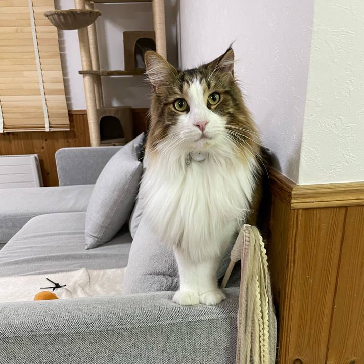 5798c5d3 9744 43c7 b1ed 9ee92e33d424 1671652954589