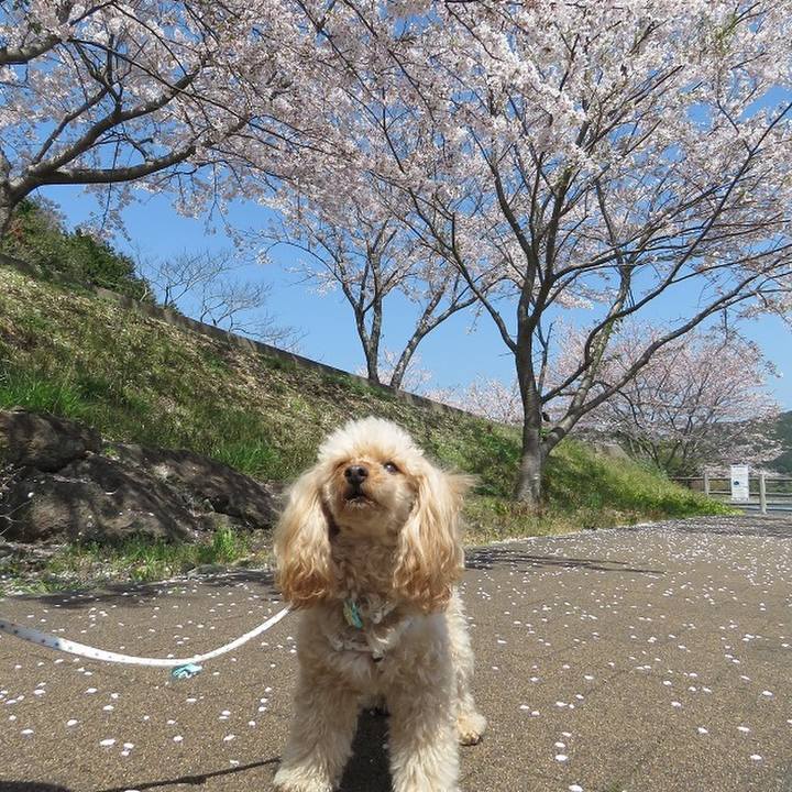 5798cb94 55e5 49bc 99fa 898e037197e0 1554543975328