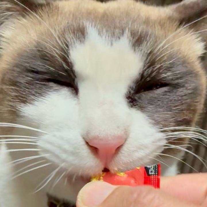 5798cd2b 3d84 4dda 85b7 9458f37a5198 1767606465408