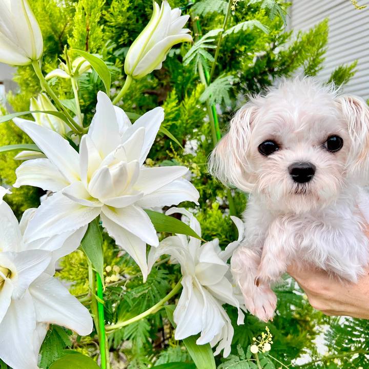 5798e540 c283 43d4 a765 7c0752e8e3f5 1656926380257