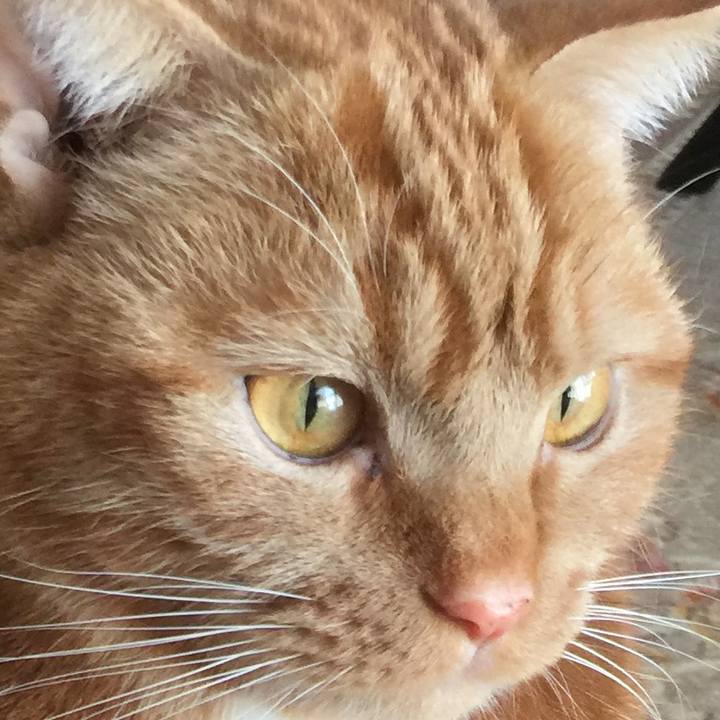 57990422 2b97 491a b33f ce571f5aa6e3 1552094380297