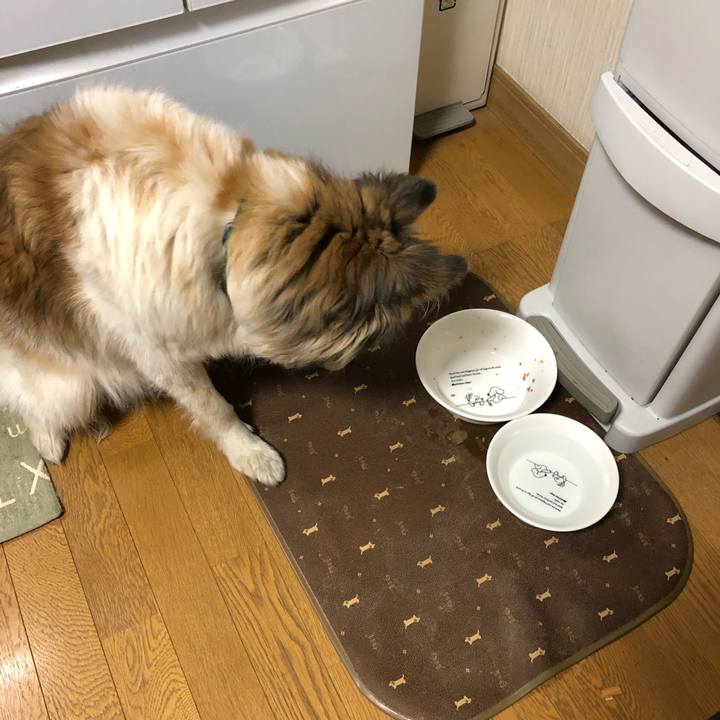 579910c1 9336 4db9 9008 b990787e7b99 1521458873786