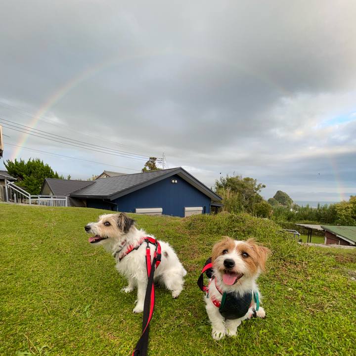 5799402f b933 436e 8e36 58f14495ed9c 1759320601434