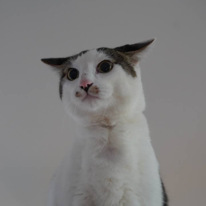 57994798 3923 4fd4 ad19 0c75648f71ae 1626529936186