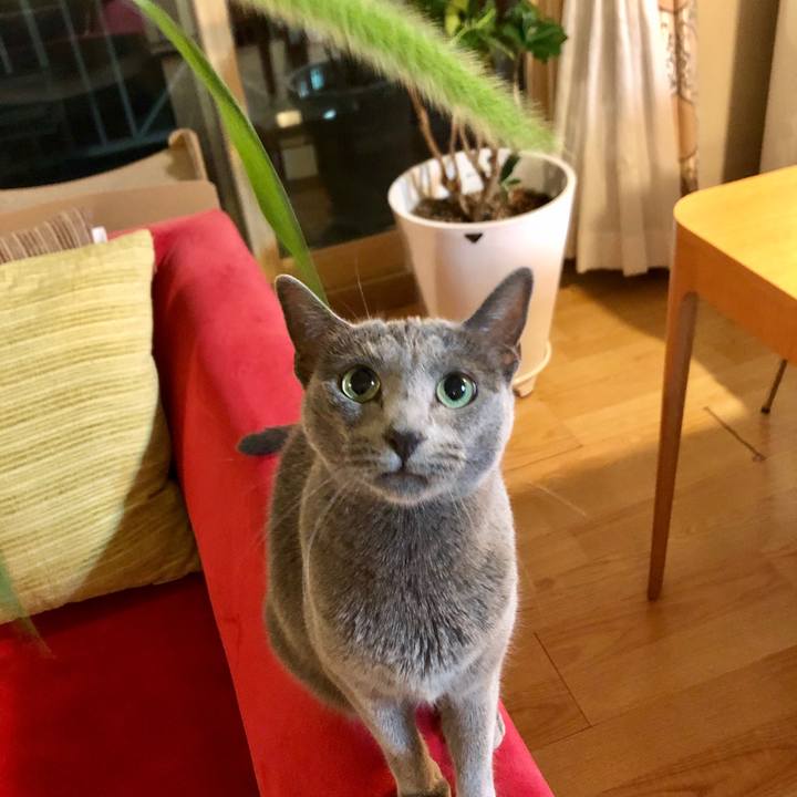 57994eab e824 4aff 9f97 2ed1150de139 1626095565426