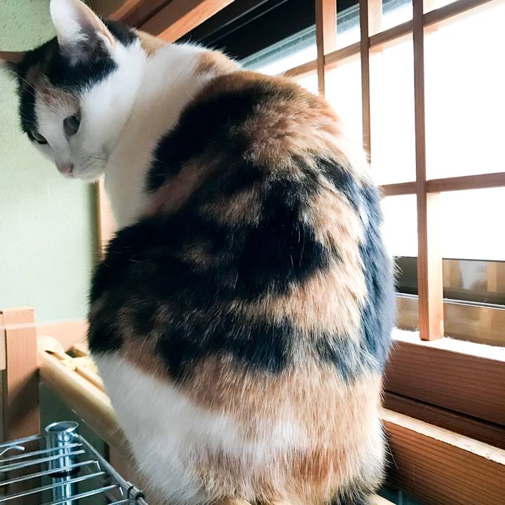 57998eb9 5bef 47aa 96c0 a208f50fbf8d 1517308068381