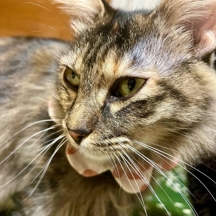 57999854 1421 4c74 8b99 c5480beaf784 1711803420441