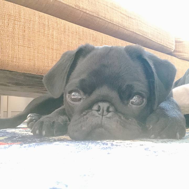 5799af06 ee36 4af8 87c3 94c7df4702cf 1601678277333