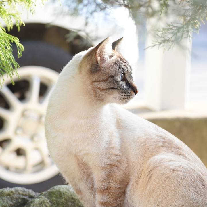 5799b208 3e48 407c 9c41 8d9a360f443f 1520759578162