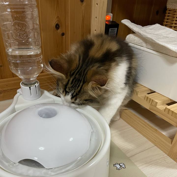 5799c3ed 0eb3 4920 8c52 6a1d0a2c237c 1632921514948