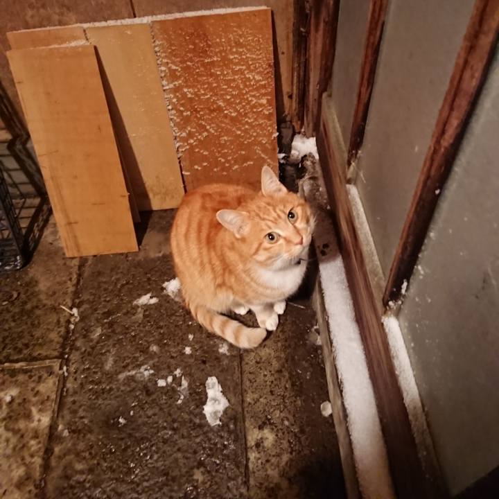 5799d475 16cd 46f0 83eb 28e3cef3de85 1608110551348