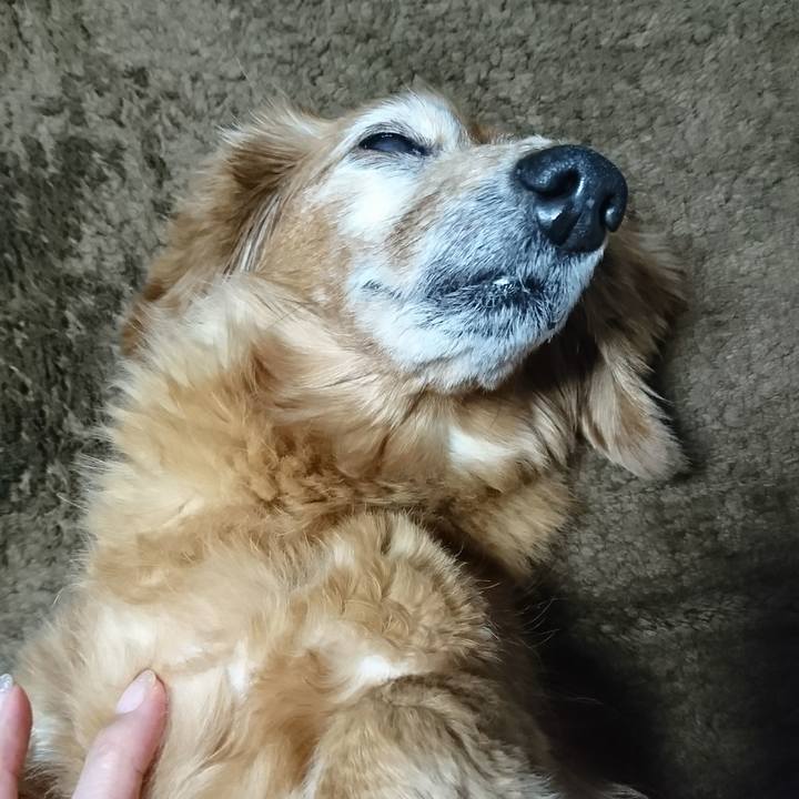 5799e2e0 aa39 4e30 8aec 33db204cce97 1510941240757