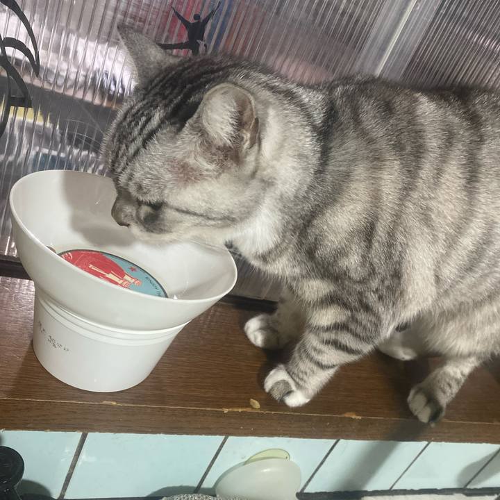 579a1b58 cd03 4e26 84a8 5d4c26f01c8e 1766214069761