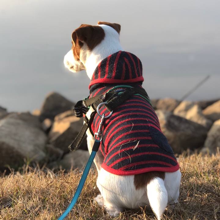 579a2138 48bf 4d78 9041 09f265b93078 1576578661724