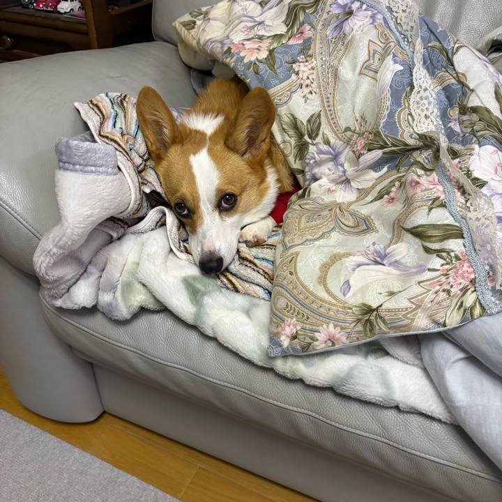 579a2562 f728 4486 a59a 111a4cf030b1 1765839112041