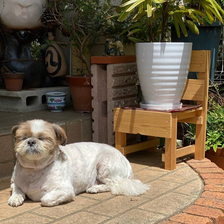 579a3e36 71e9 4895 8572 10f4928d7084 1620095105103