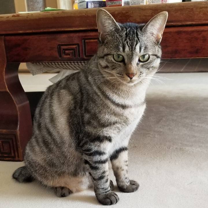 579a87ac ef60 4e0c 9fed e5402293a0b8 1692153352265