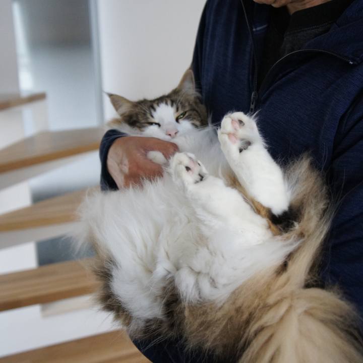 579ab746 a3ee 44ad 8ba7 086abc951796 1529135569982